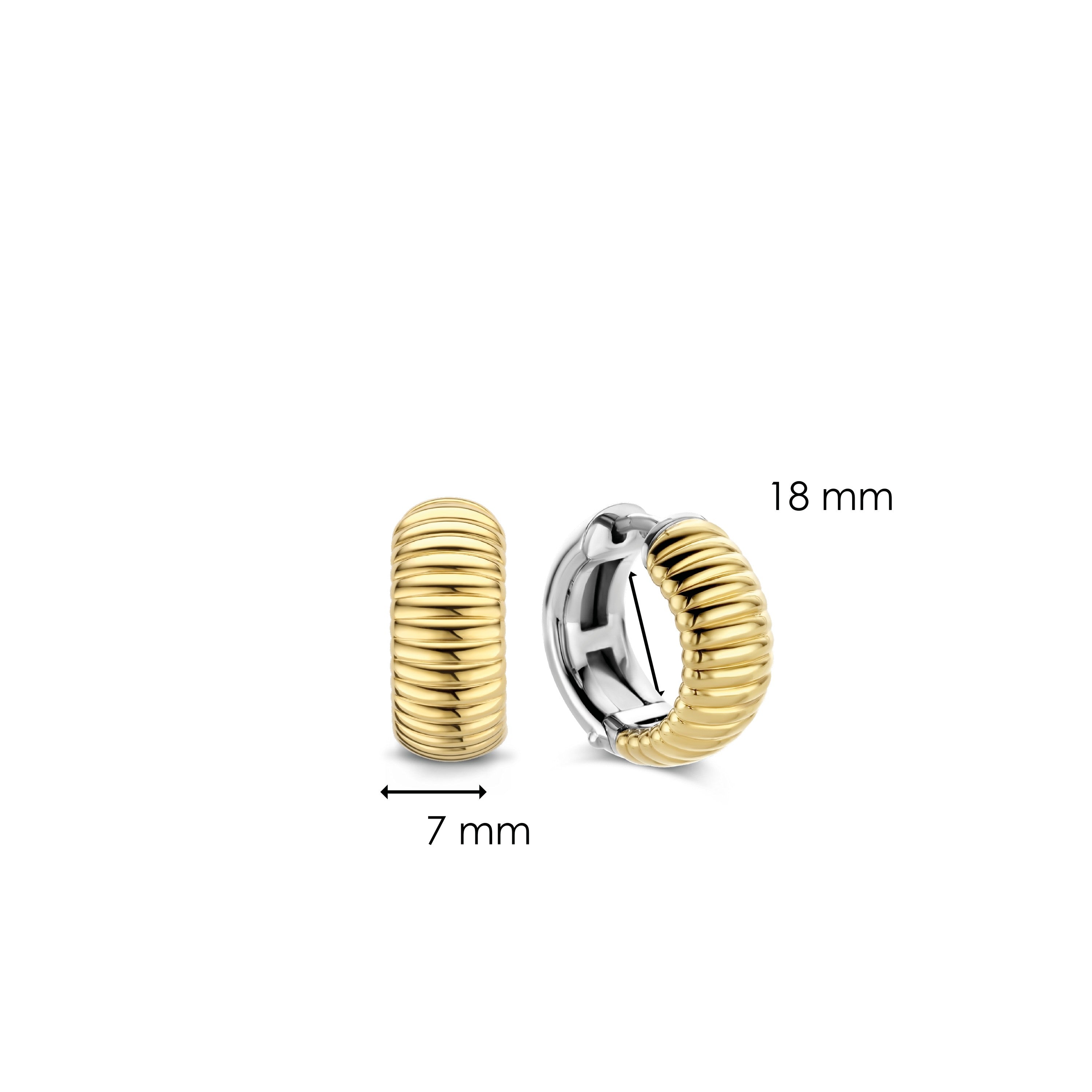 TI SENTO- Milano Earrings