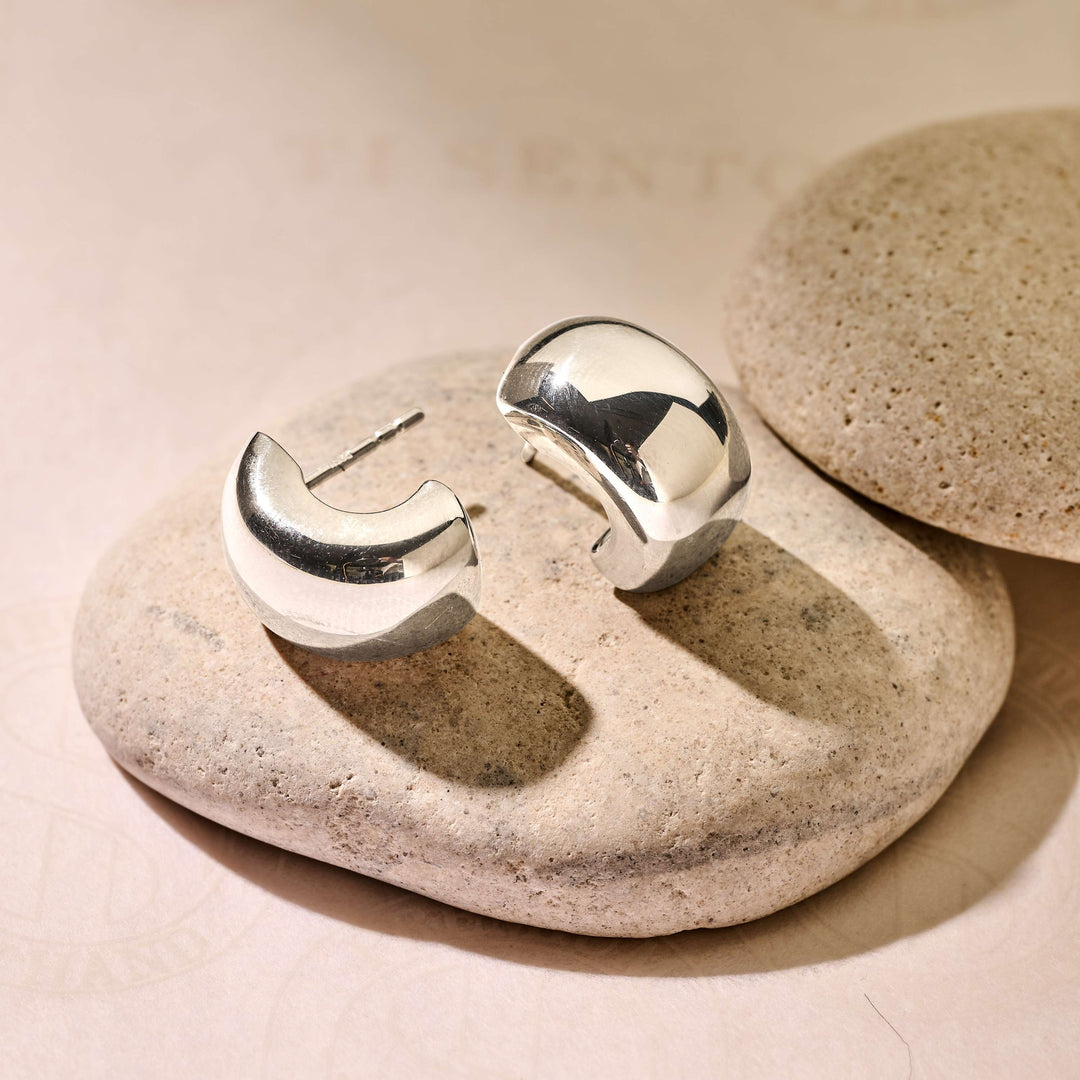 Sterling Silver Earrings Ti Sento Milano Made of Silver