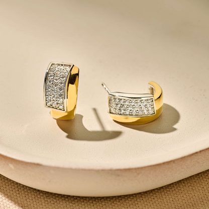 Sterling Silver Earrings Ti Sento Milano Made of Silver
